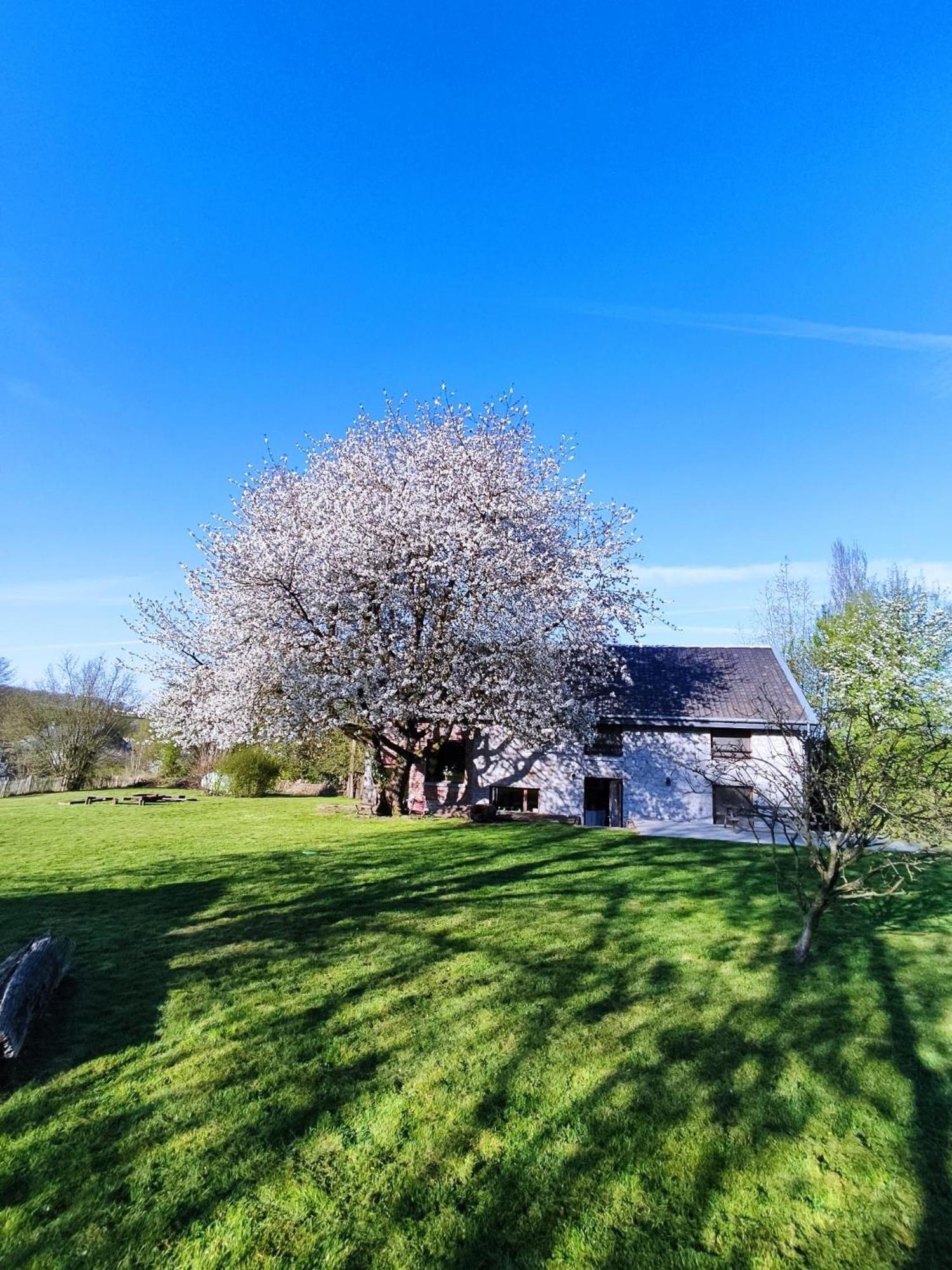 Gerestaureerde Hoeve Met Zicht Дюрбюи Экстерьер фото